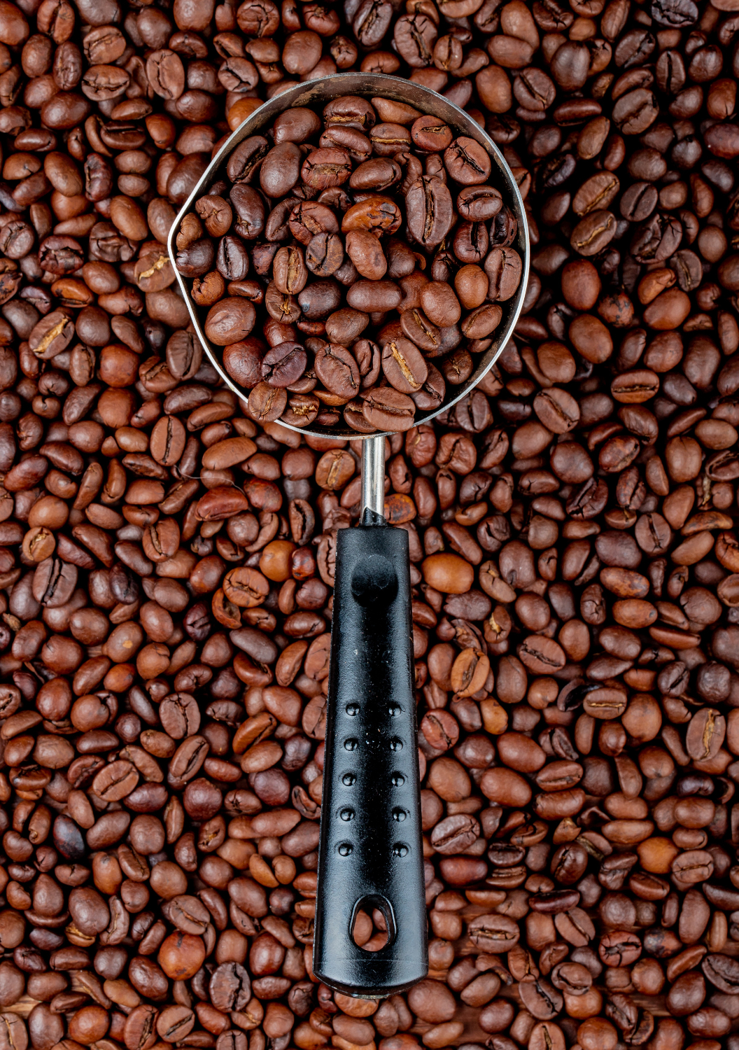 Premium Coffee Beans